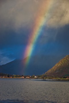 Lofoten Skårungen (Rainbow)